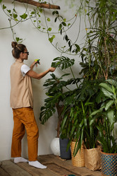 Similar image 20801755