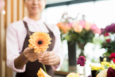 Similar image 20878592