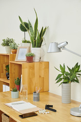 Similar image 20872531