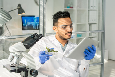 Similar image 20825267