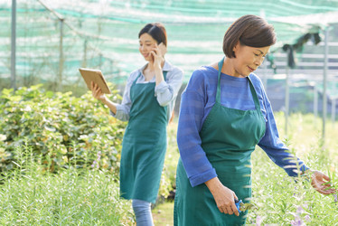 Similar image 20883199