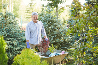 Similar image 20858895