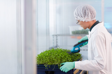 Similar image 20815048