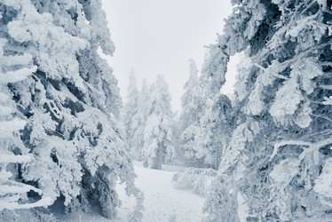 Similar image 20817289