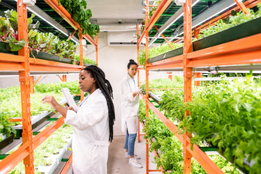 Similar image 20870337