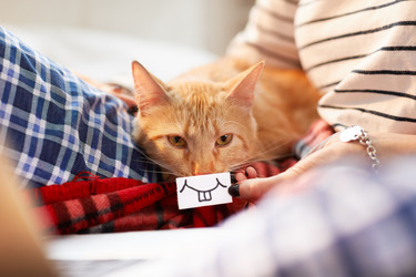 Similar image 20846385