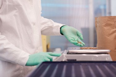 Similar image 20816300