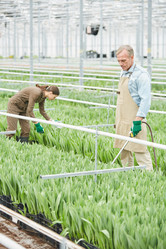 Similar image 20822893