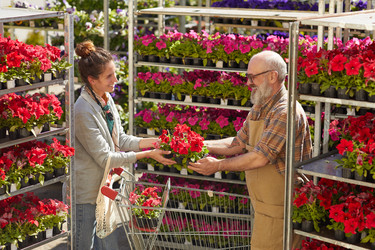 Similar image 20797638