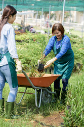 Similar image 20850894