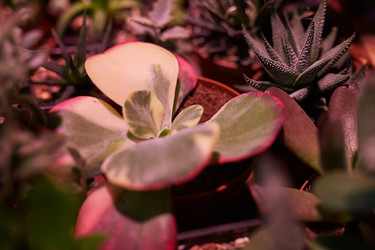 Similar image 20799676