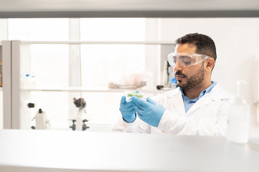 Similar image 20870500