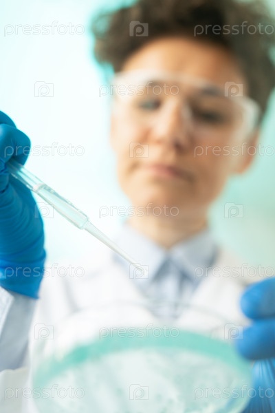 Gloved hands of female laboratory worker holding plastic pipette over petri dish