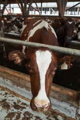 Similar image 20833738