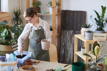 Similar image 20802370