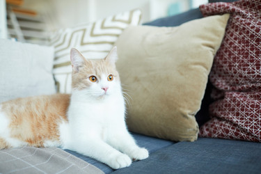 Similar image 20813511