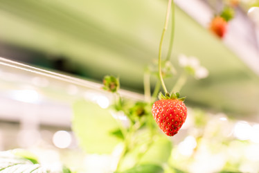 Similar image 20847685