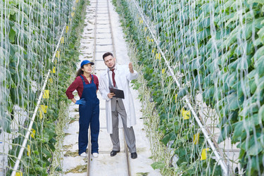 Similar image 20926028