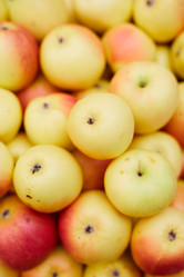 Similar image 20893482