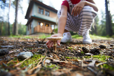 Similar image 20920094