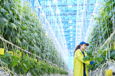 Similar image 20897829