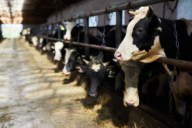 Similar image 20912763