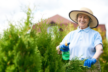 Similar image 20956038