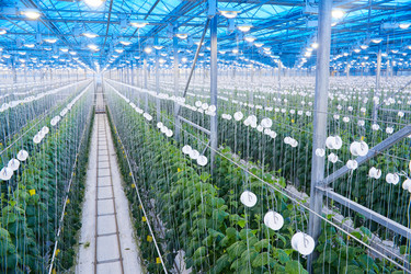 Similar image 20896661