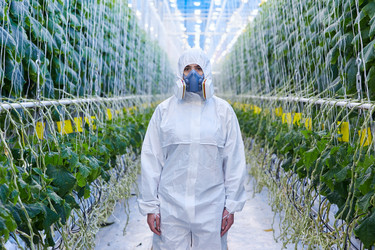 Similar image 20956057