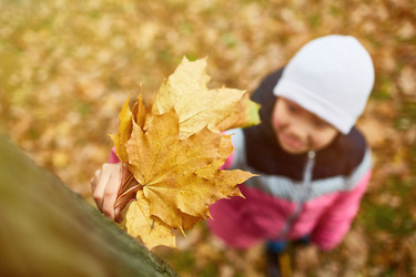 Similar image 20935951