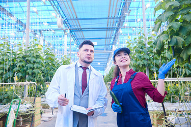 Similar image 20890309