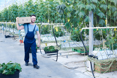 Similar image 20915307