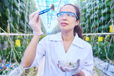 Similar image 20920470