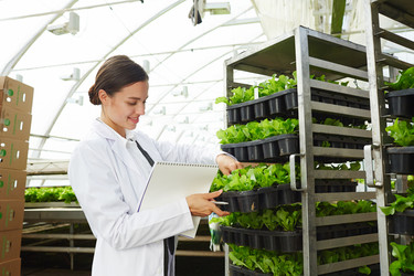 Similar image 20903185