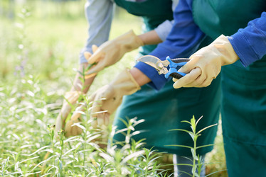 Similar image 20921977