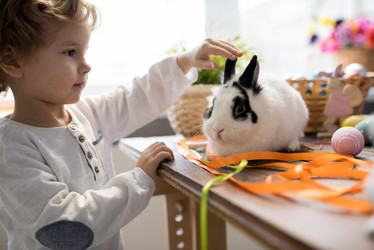 Similar image 20934169