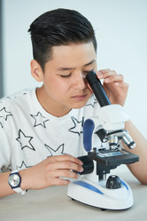 Similar image 20904910