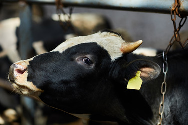 Similar image 20914447