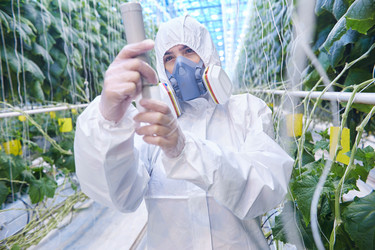 Similar image 20925770