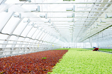 Similar image 20954261