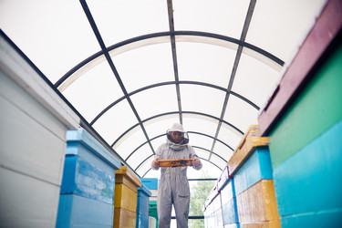 Similar image 20942977