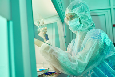 Similar image 20919550