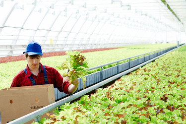 Similar image 20936648