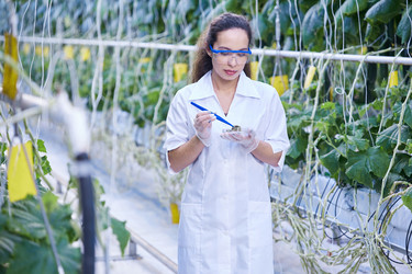 Similar image 20901389