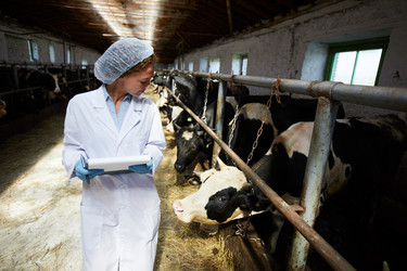 Similar image 20906746