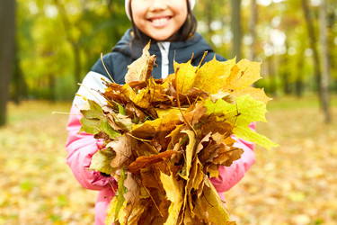 Similar image 20946682