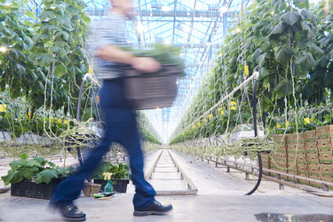 Similar image 20890899