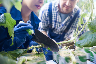 Similar image 20958859