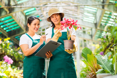 Similar image 20910827