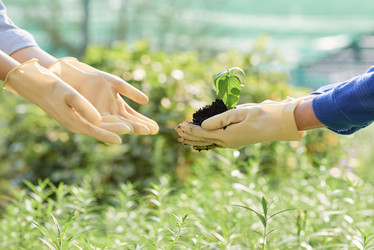 Similar image 20965196